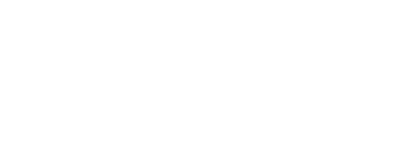 Pioneer Plastics